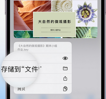 莫力达瓦apple维修中心分享iPhone文件应用中存储和找到下载文件