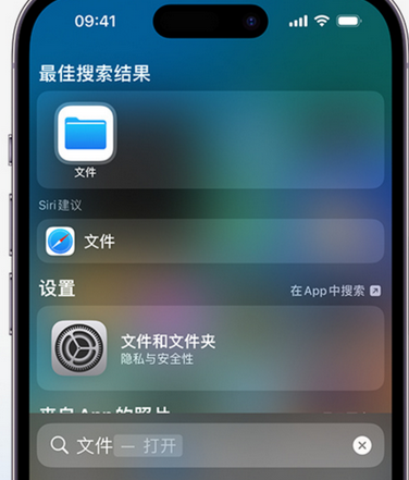 莫力达瓦apple维修中心分享iPhone文件应用中存储和找到下载文件 