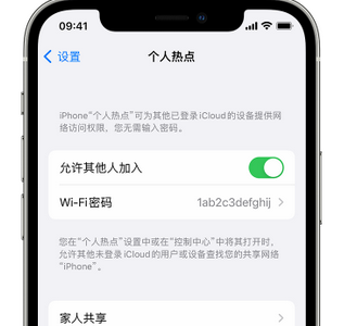 莫力达瓦apple服务站点分享iPhone上个人热点丢失了怎么办