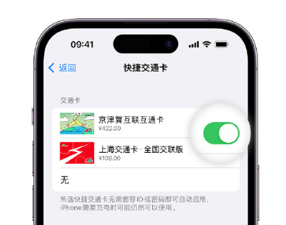 莫力达瓦apple维修点分享iPhone上更换Apple Pay快捷交通卡手绘卡面 