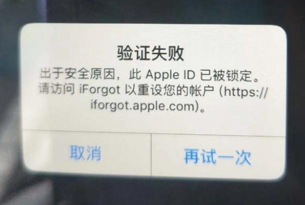 莫力达瓦iPhone维修分享iPhone上正常登录或使用AppleID怎么办 