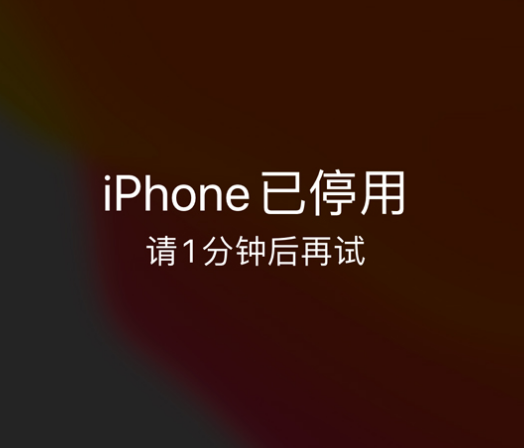 莫力达瓦苹果手机维修分享:iPhone 显示“不可用”或“已停用”怎么办？还能保留数据吗？ 