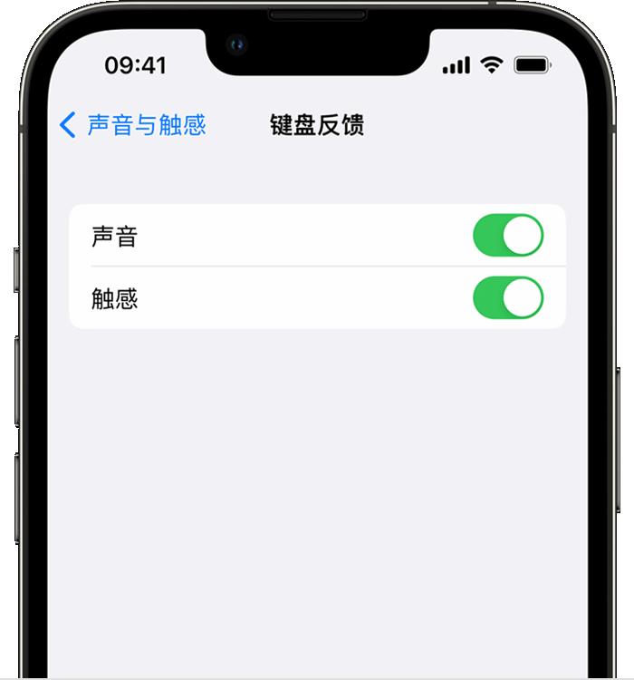 莫力达瓦苹果14维修店分享如何在 iPhone 14 机型中使用触感键盘 