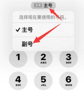 莫力达瓦苹果14维修店分享iPhone 14 Pro Max使用副卡打电话的方法 