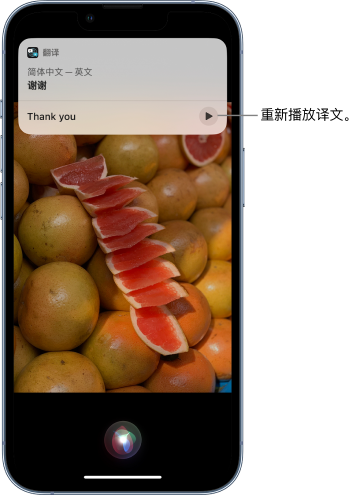 莫力达瓦苹果14维修分享 iPhone 14 机型中使用 Siri：了解 Siri 能帮你做什么 