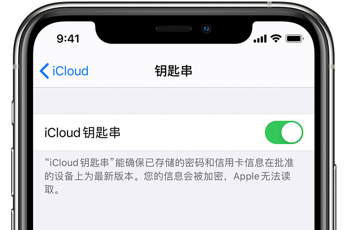 莫力达瓦苹果手机维修分享在 iPhone 上开启 iCloud 钥匙串之后会储存哪些信息 