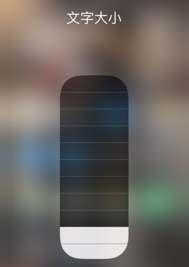 莫力达瓦苹果手机维修分享小技巧：在 iPhone 控制中心快速调节字体大小 