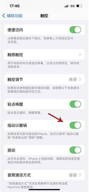 莫力达瓦苹果手机维修分享iPhone手机如何设置摇一摇删除文字 