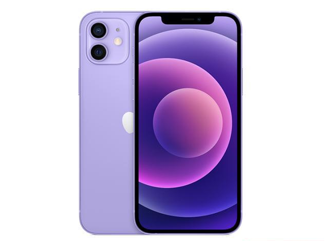 莫力达瓦苹果手机维修分享现阶段要不要入手紫色版iPhone12 