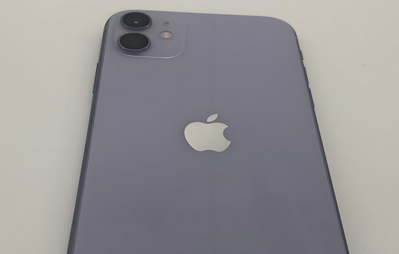 莫力达瓦苹果11系统维修分享iPhone11手机系统崩溃无法开机如何解决 